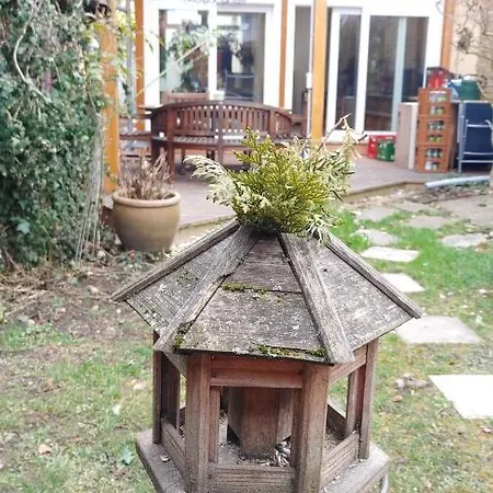 Bei Tati - * ジンゲン