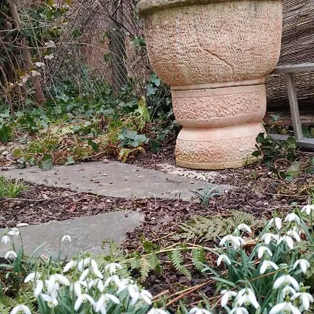 Bei Tati - Dom wakacyjny *