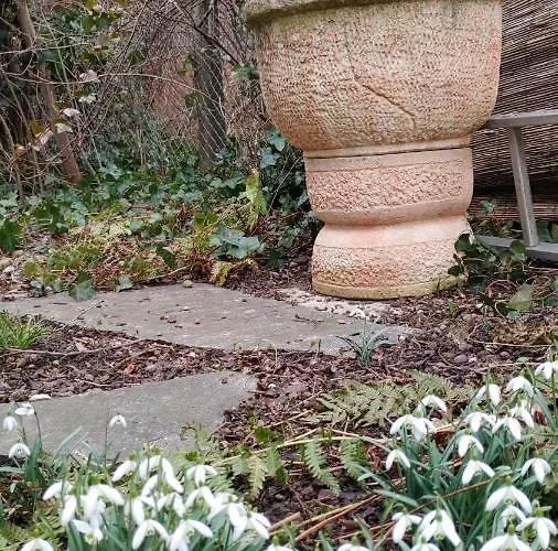 Bei Tati - Сasa de vacaciones *